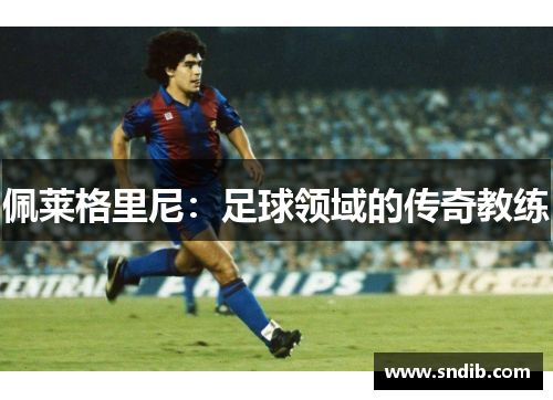 佩莱格里尼:足球领域的传奇教练 佩莱格里尼:足球领域的传奇教练